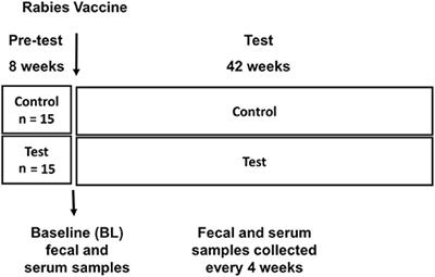 Supplementation of Diets With Spirulina Influences Immune and Gut Function in Dogs